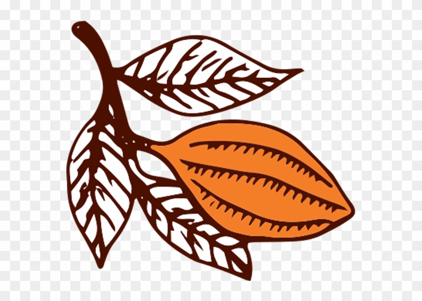 Ancient Maya Valued Cocoa Pods So Highly That They - Dick #1396308