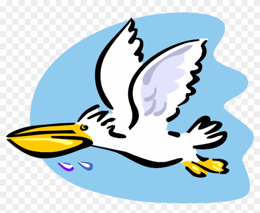Vector Illustration Of Large Water Bird Pelican Flying - Cartoon Pelican Flying #1396428