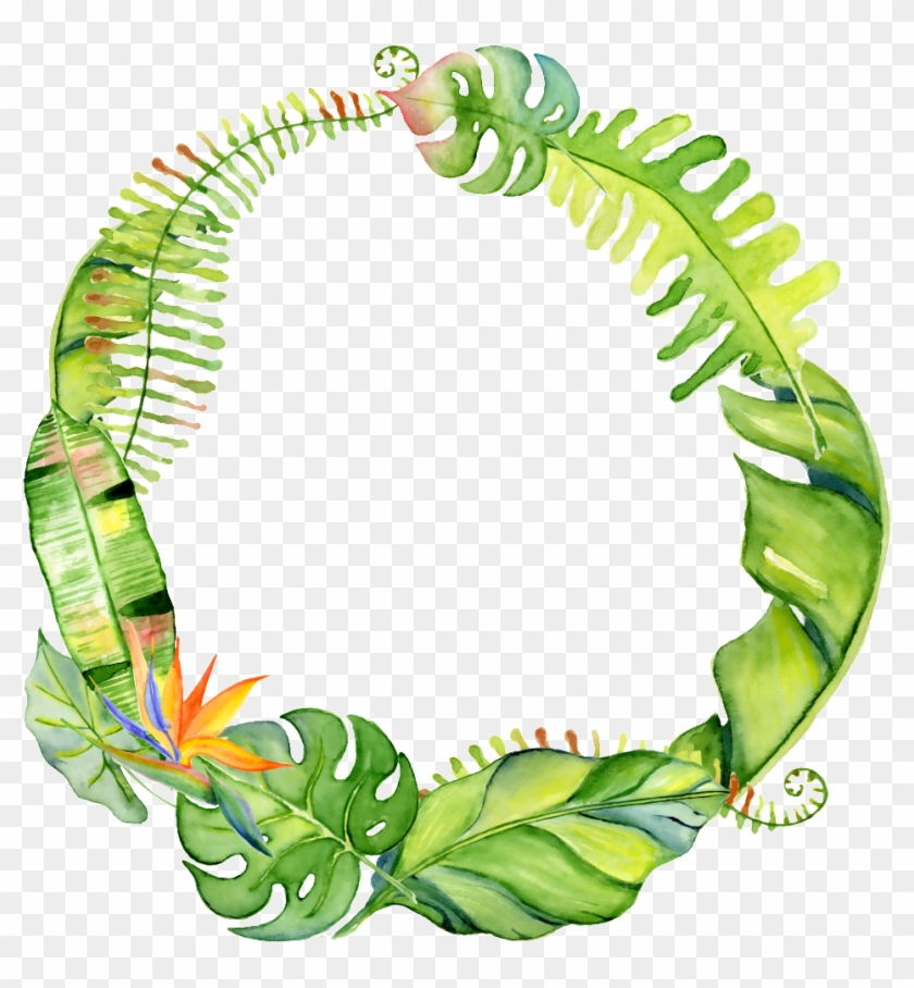 Hand Drawn Circle Png Transparent With Leaves - Tropical Leaf Wreath #1396600