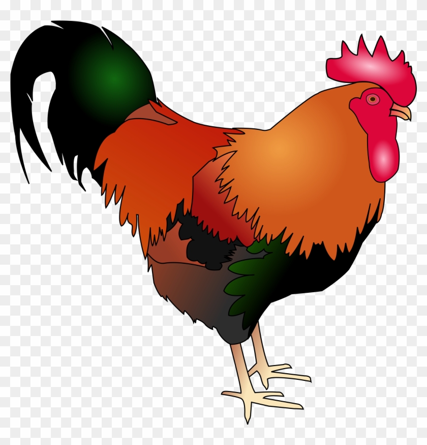 Rooster Welsummer Cochin Chicken Poultry Livestock - Cockerel Clipart #1396827