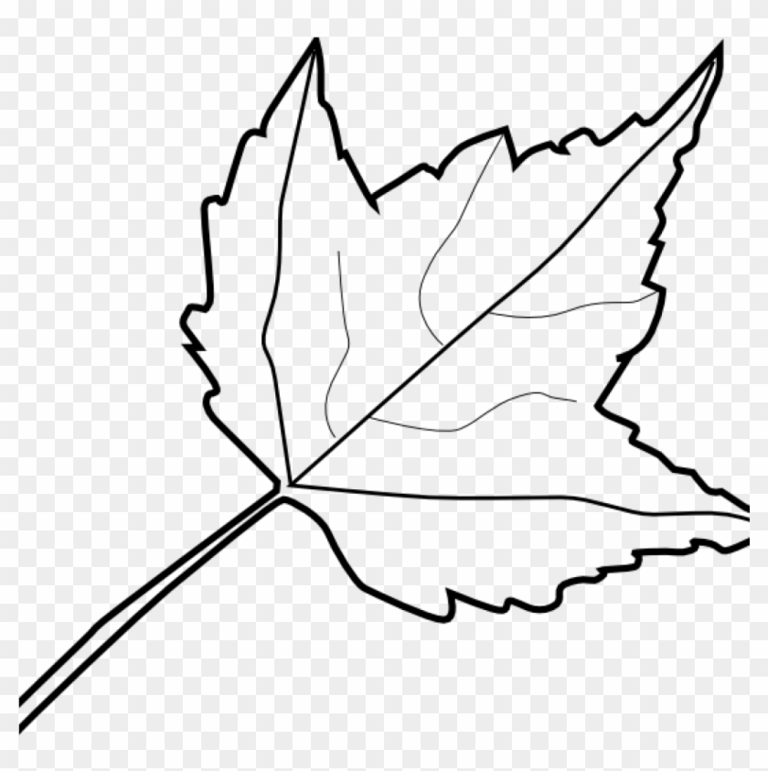 Leaf Outline Images Maple Leaf Outline Clip Art At - Clipart Autumn Leaf Black And White #1396954