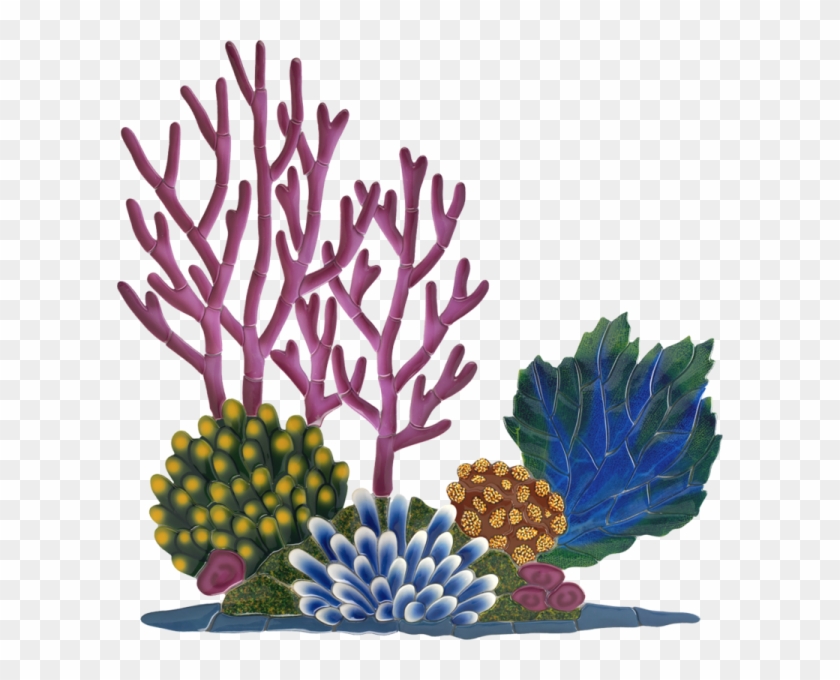 Little Tile Inc - Coral Reef Clipart #1397218