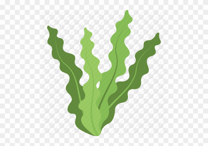 Algae Icon Png Clipart Algae Clip Art - Algae Icon Png #1397232