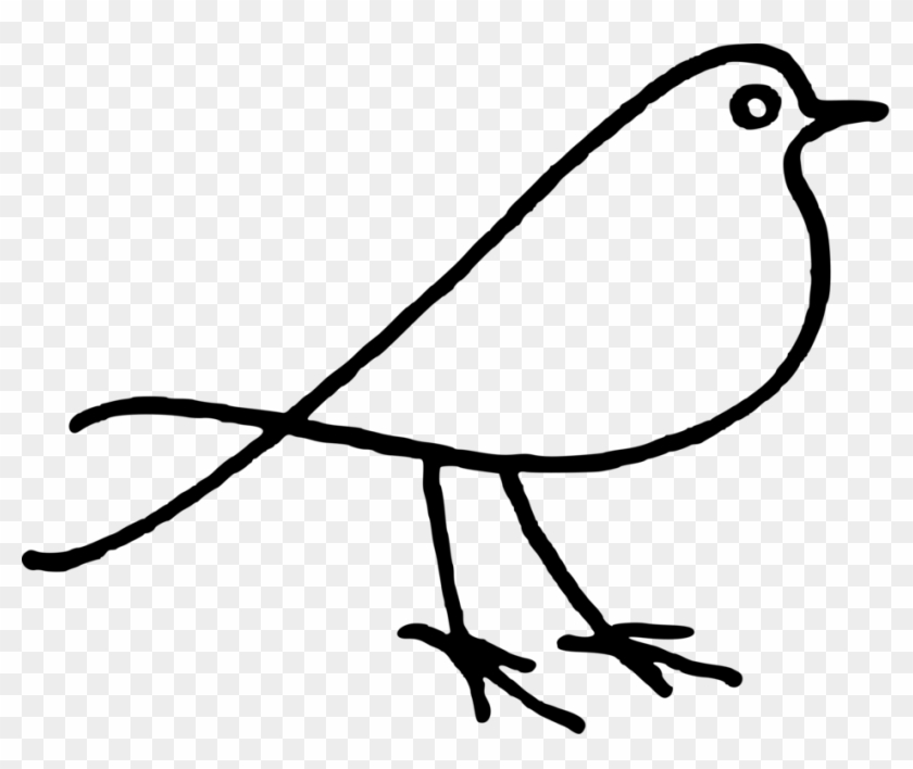 Bird Doodle Parrot Drawing Download - Bird Doodle Png #1397572