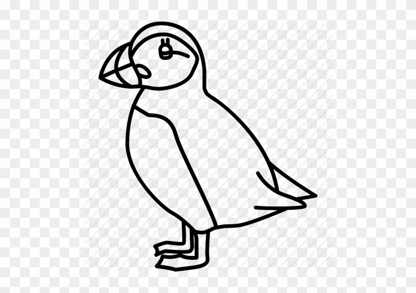 Clipart Library Stock Birds Outlines By Jisun - Puffin Outline #1397861