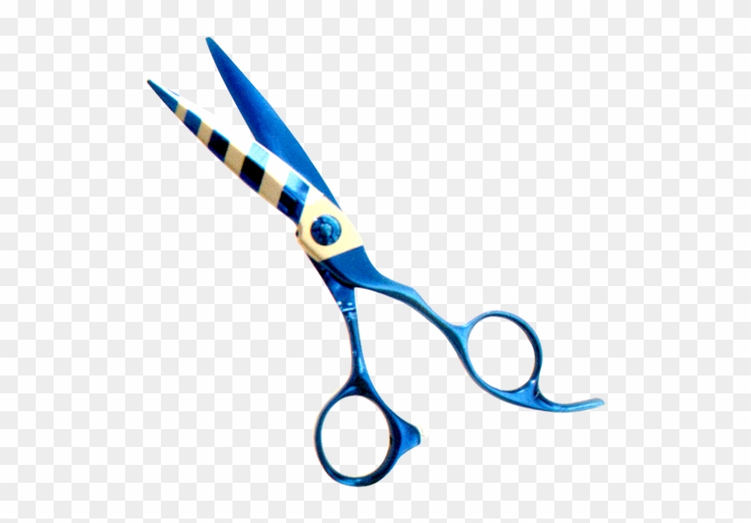 Alex Ent Name Plastic Handle Thinning Scissor - Hair-cutting Shears #1397872