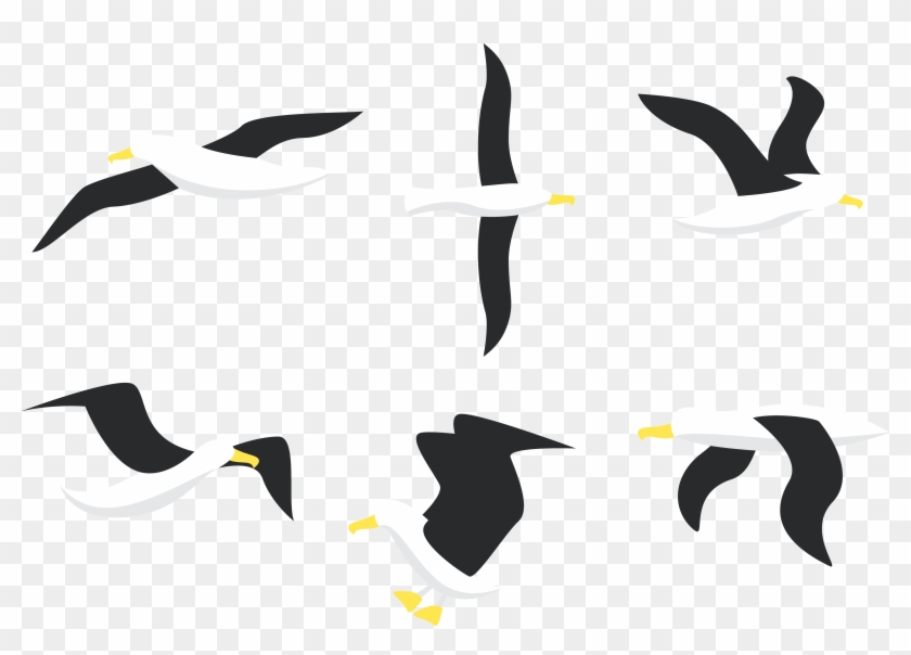 Picture Freeuse Download Penguin Bird Gulls Flight - Free Download Vector Albatross #1397883