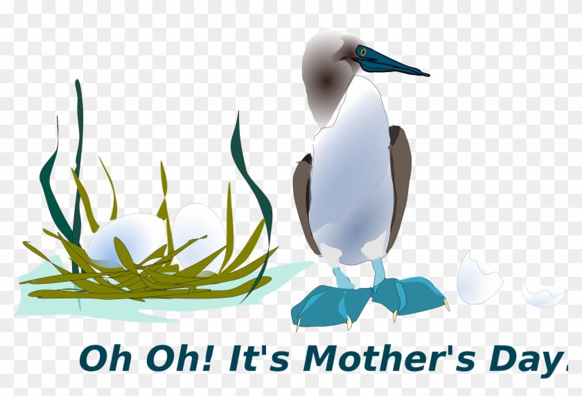 Sea Bird Clipart Logos - Seabird #1397907