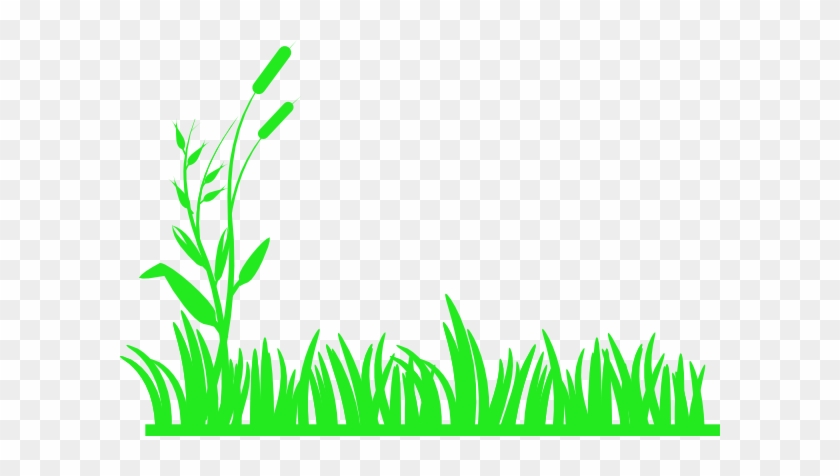 Png Royalty Free Bright Clip Art At Clker Com Vector - Blades Of Grass Clipart #1398420
