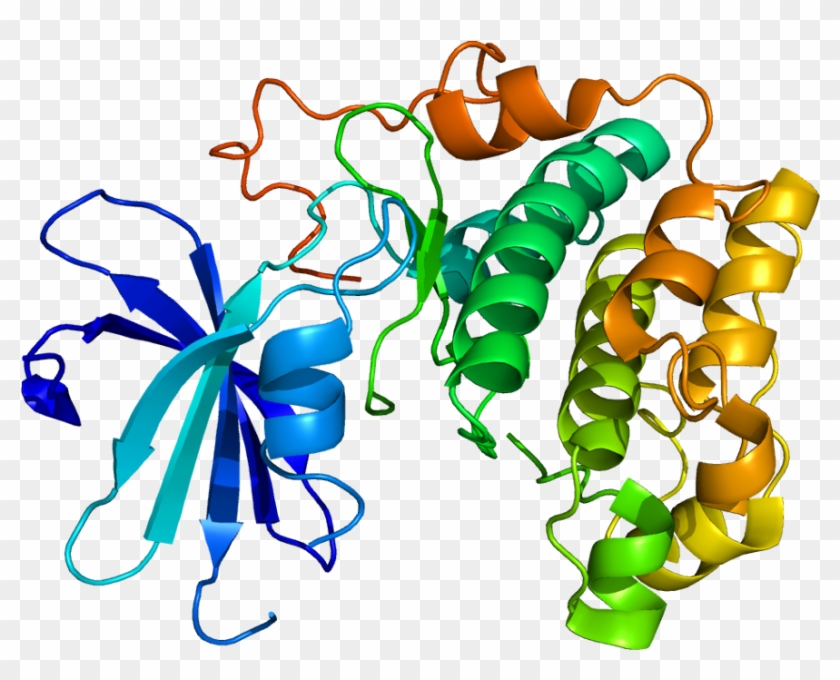 Akt2 Gene #1398700