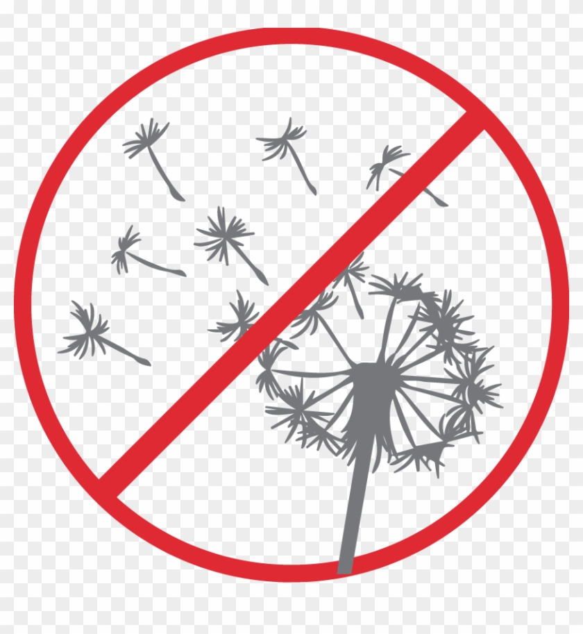 Anti Allergen - Anti Allergy Icons #1398755