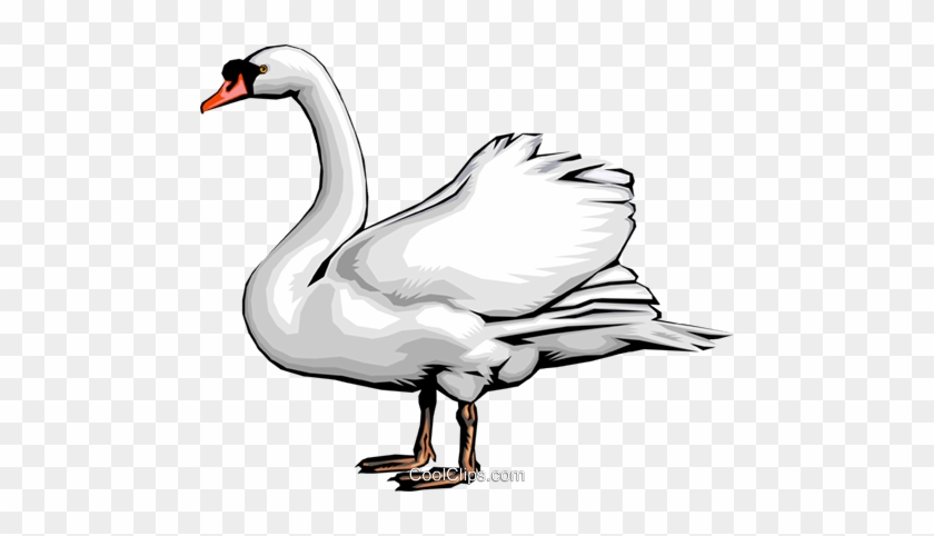 Swan Royalty Free Vector Clip Art Illustration - Swan #1398989