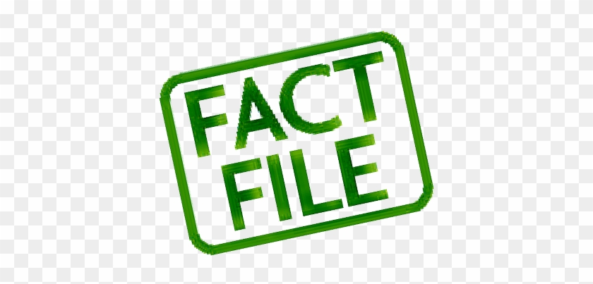Business Matters - Trends - Personal Fact File #1399042