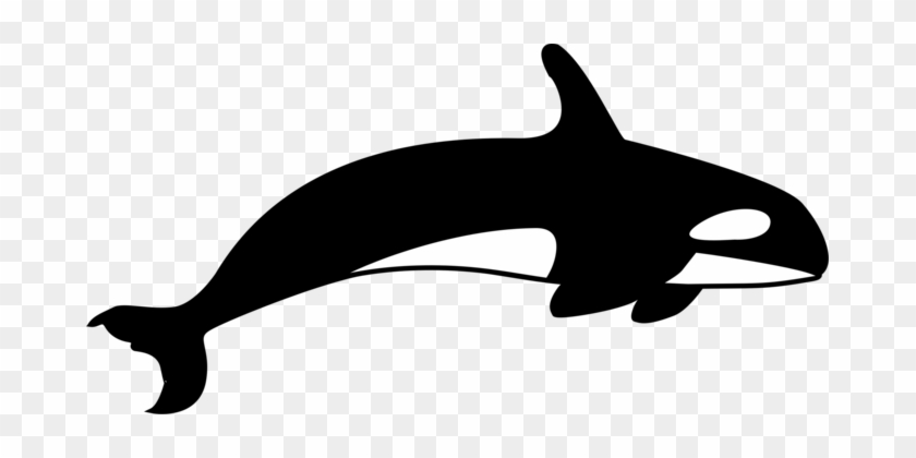 The Killer Whale Cetacea Blue Whale - Clip Art Killer Whale #1399186