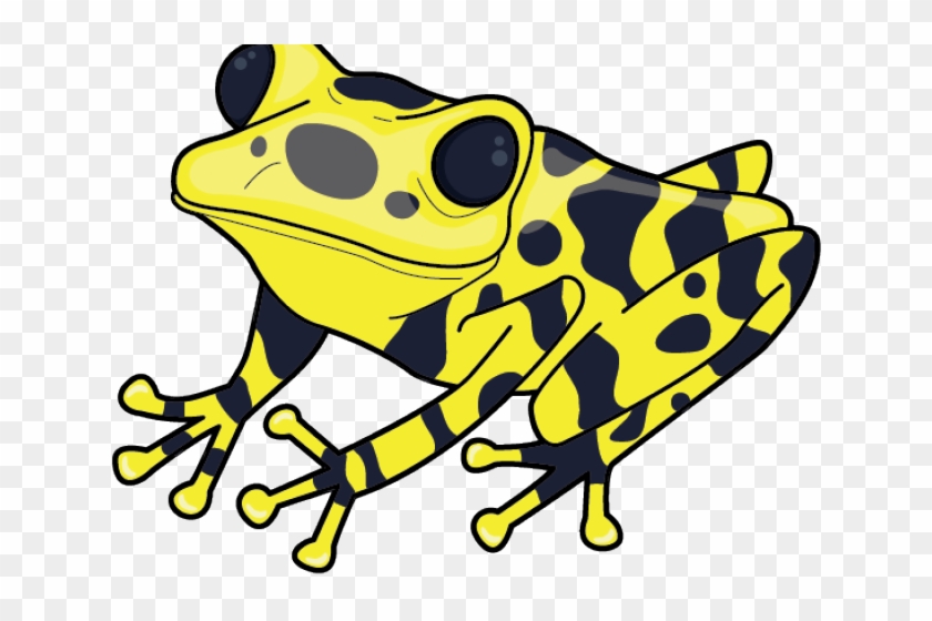 Tree Frog Clipart Poisonous - Clip Art Poison Dart Frog #1399241