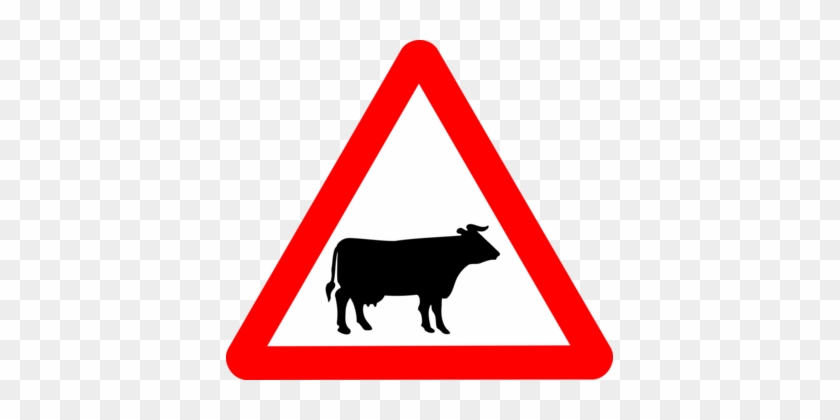Cattle Traffic Sign Road - Road Signs Deer Crossing #1399318