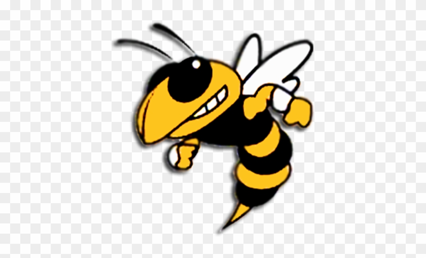 Yellow Jackets Football #1399366