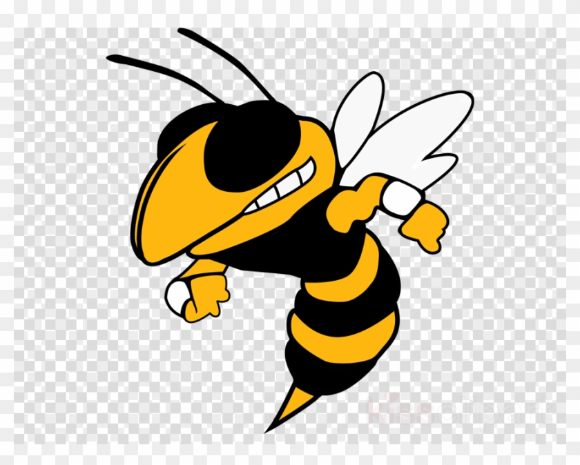 Oxnard Yellow Jackets Clipart Oxnard High School Georgia - Harpursville Hornets #1399413