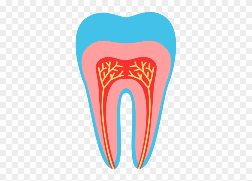 Dentistry - Dentistry #1399430