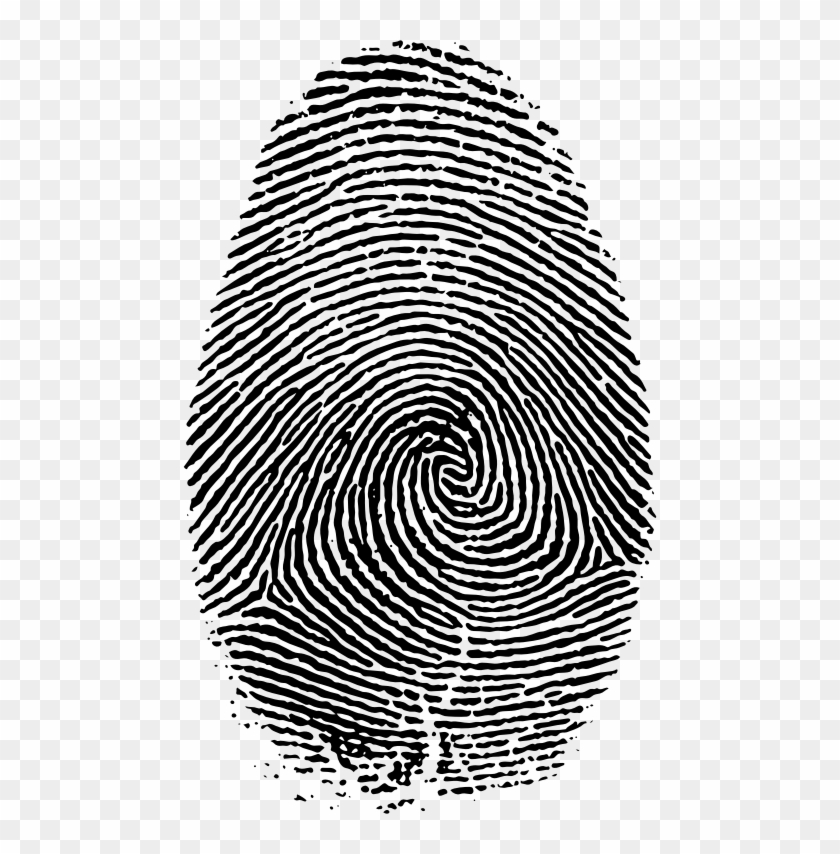 Medium Image - Fingerprint Fibonacci #1399594