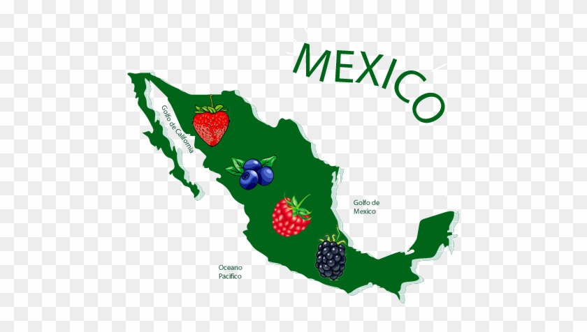 Gray Mexico Map #1399850