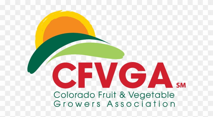 Cfvga Board - Svea Ekonomi #1399858