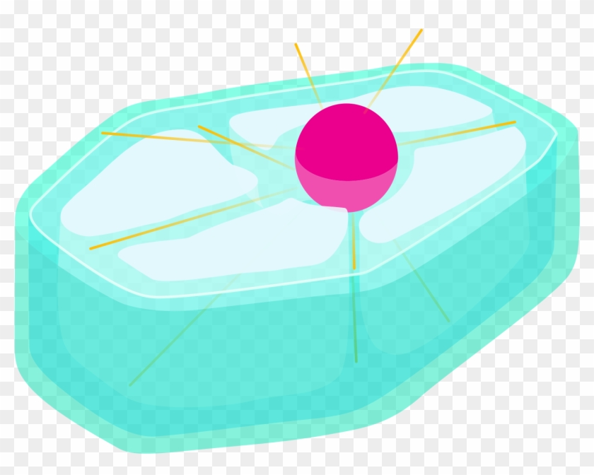 Plant Cell First Gap - 2000px Plant_cell Prophase #1400572