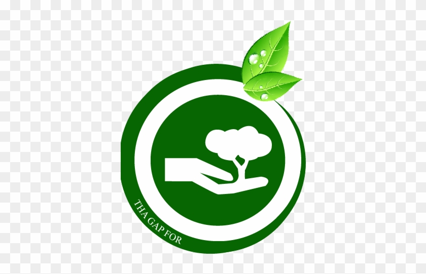 Gap Garden & Nature - Reuse #1400587