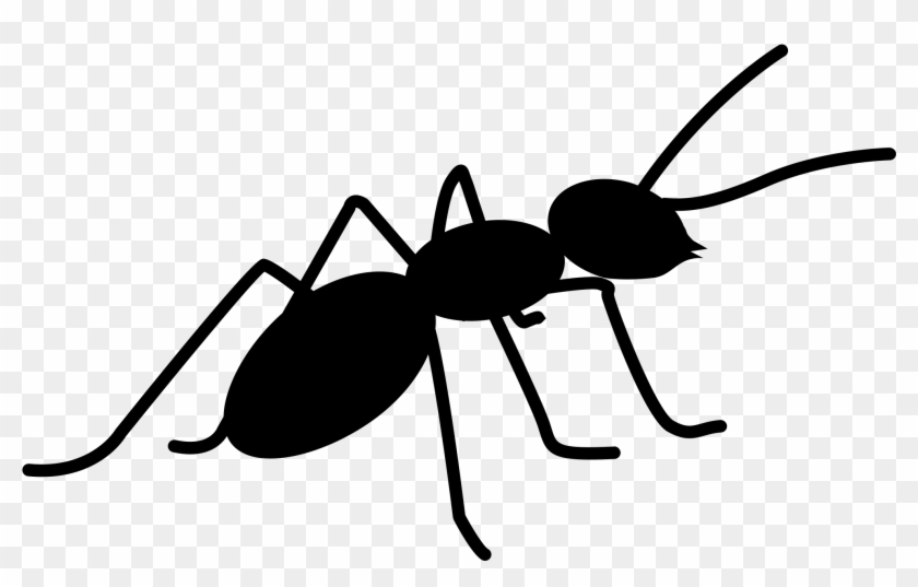 File Jacob Eckert Wikimedia Clip Art Royalty Free Download - Ant Black And White Png #1400799