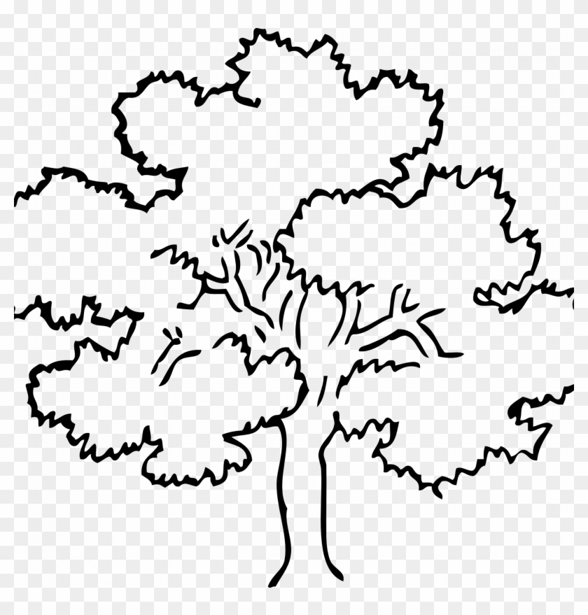 28 Collection Of Apple Tree Drawing Black And White - Black And White Cartoon Tree #1400978