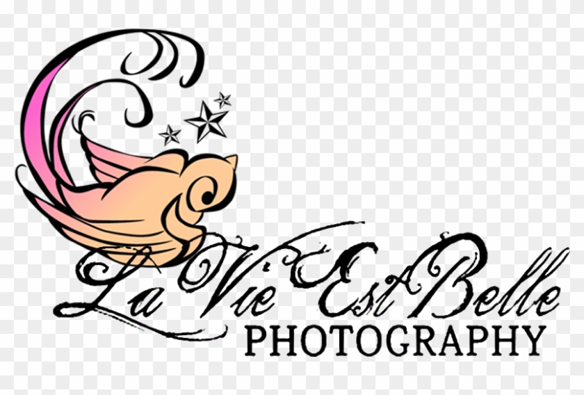Beautiful Memories Deserve Beautiful Portraits - Pako Litto #1401082