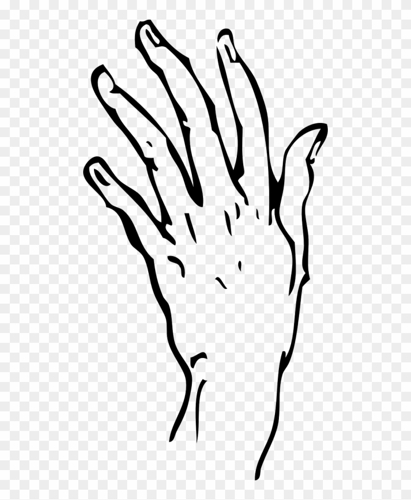Hand Drawing Finger Human Body Thumb - Hand Line Drawing Transparent #1401085
