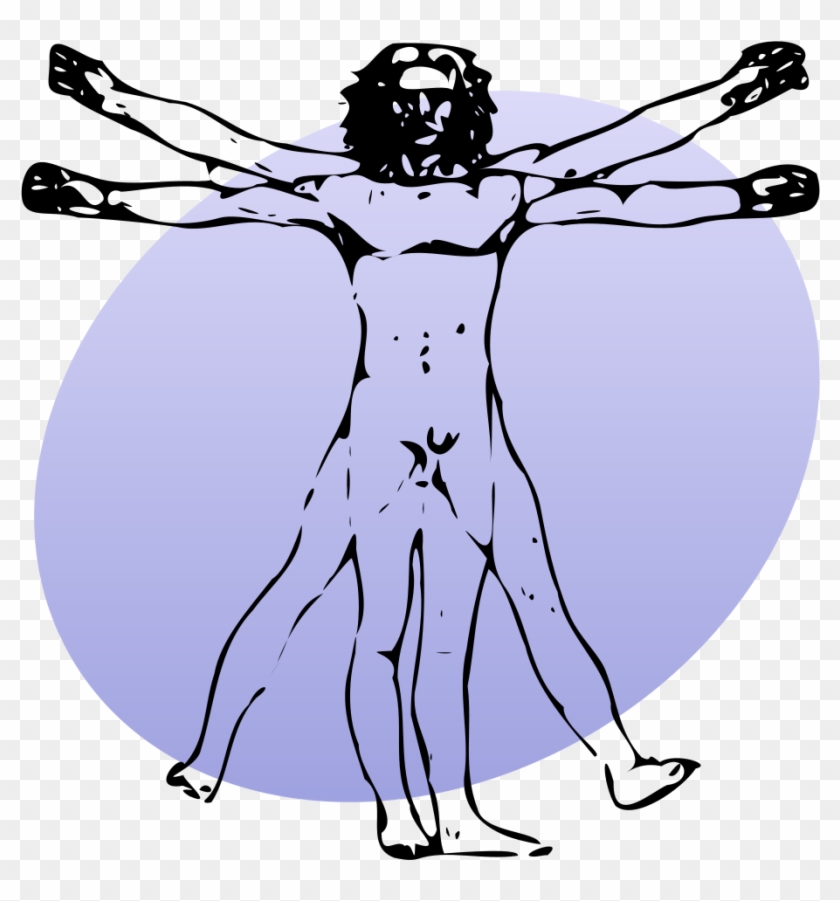 File P Human Svg Wikimedia Commons Open - Human Body #1401091