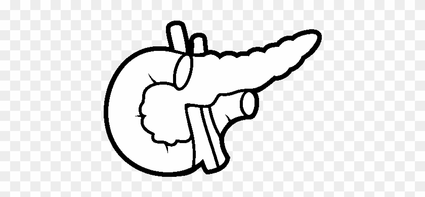 Clip Art Free Stock Human Body Coloring Book Liver - Pancreas Para Pintar #1401095