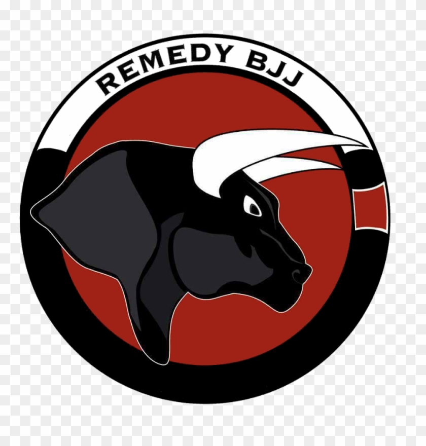 Remedy Bjj - Alt Attribute #1401225