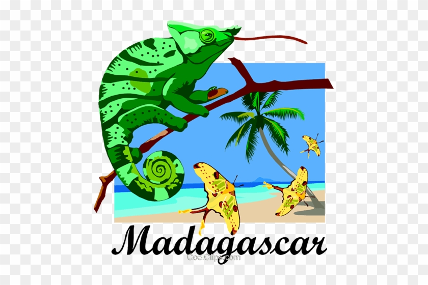 Madagascar Postcard Design Royalty Free Vector Clip - Madagascar Clipart #1401375