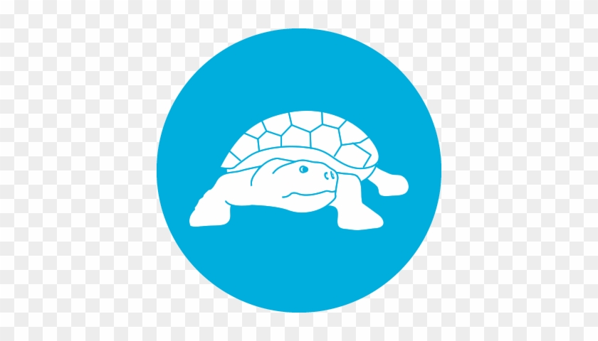 Madagascar Big-headed Turtle - Corporate Social Responsibility Icon #1401401