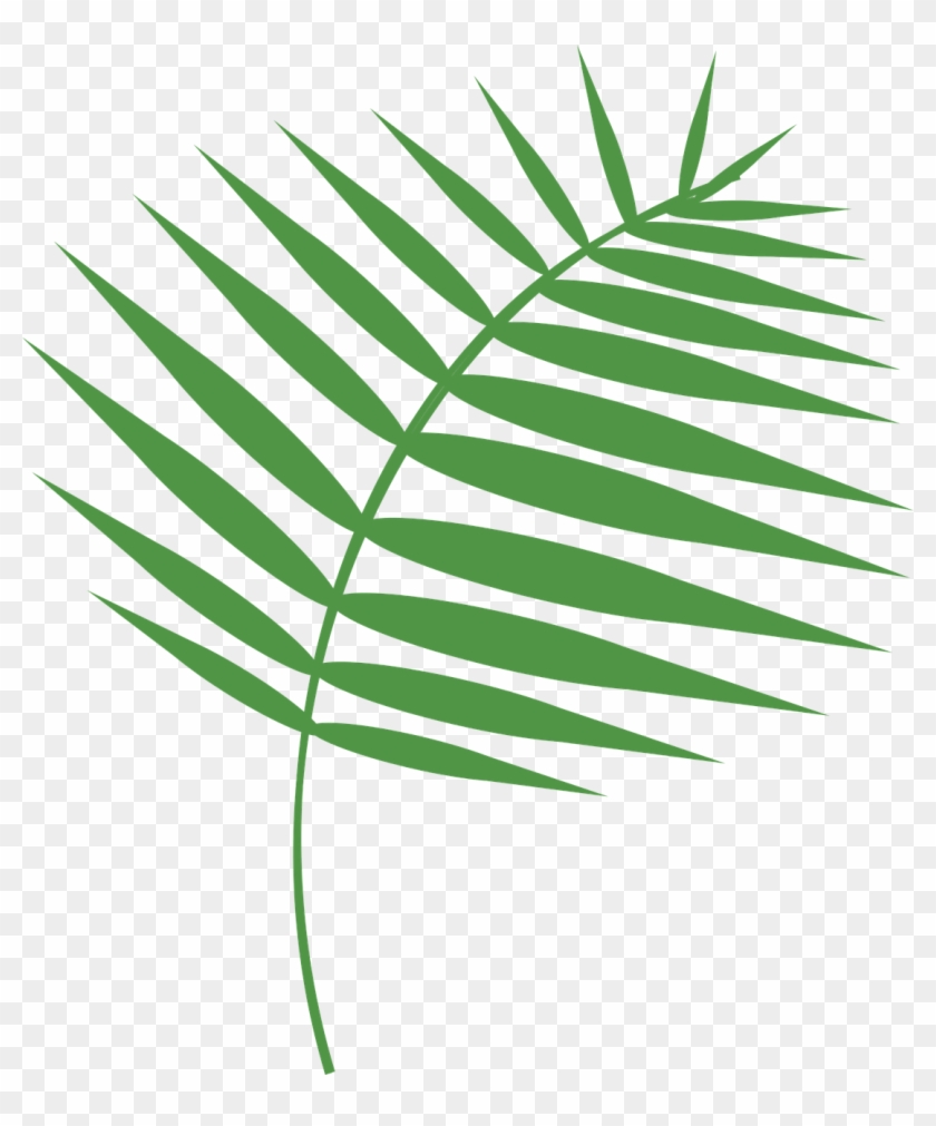 Graphic,palm,palm Sunday,holy Vector - Пальмовая Ветвь Пнг #1401817