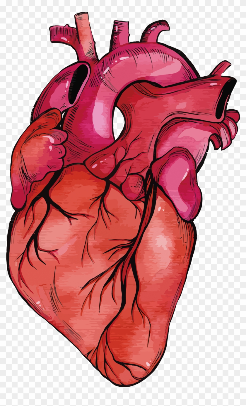 National Heart Month - Realistic Heart Model Png #1401967