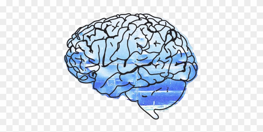 Your Paragraph Here - Glogster #1402107