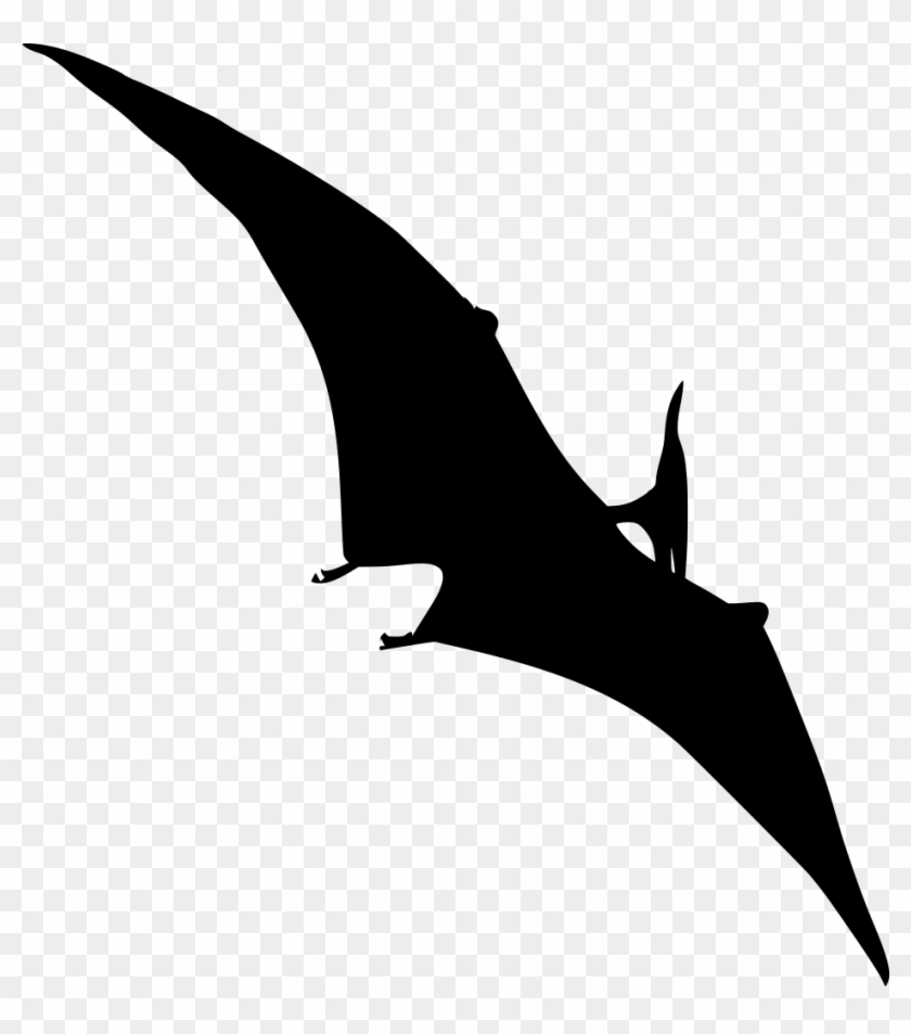 Info - Coloring Books Jurassic World: Creative Coloring Animals #1402246