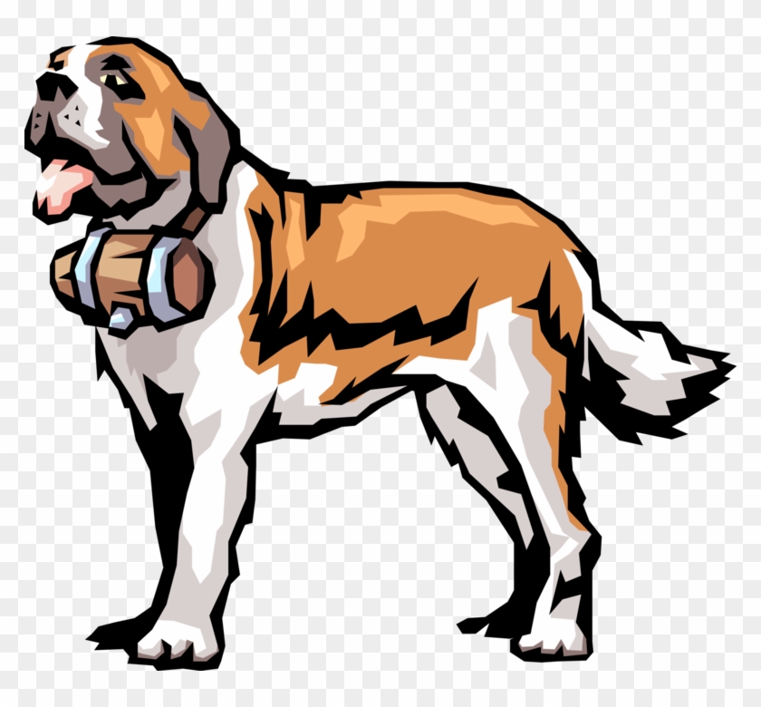 Vector Illustration Of Cartoon Saint Bernard Swiss - St Bernard Dog Vector #1402329