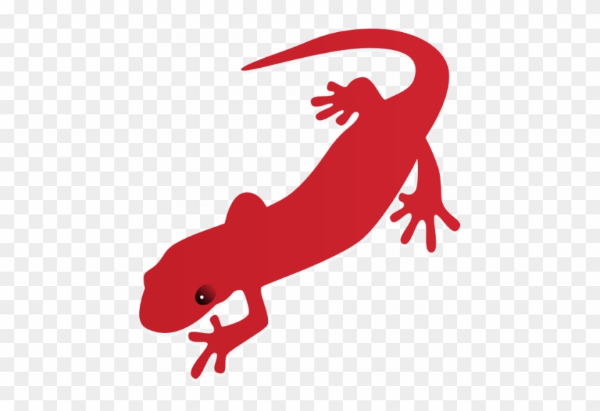 Salamander Clipart - Salamander Clipart #1402441