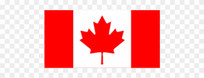 Graphic Black And White Canada Flag Clipart - Canada Flag Transparent Background #1402478