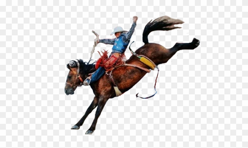 Cowboy Png - Horse And Cowboy Png #1402486