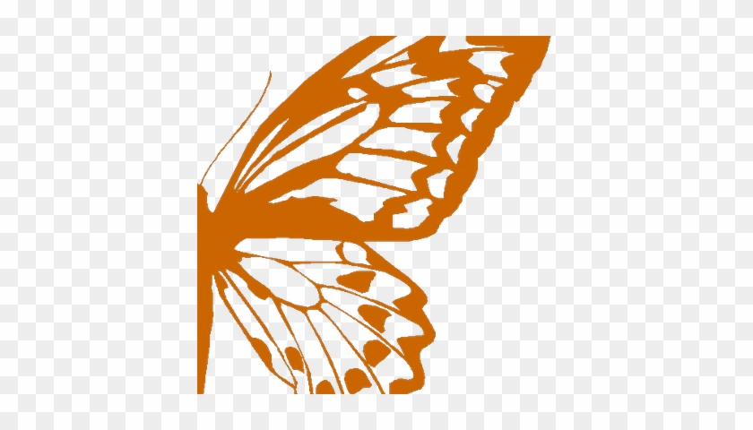 Half Butterfly Png #1402555