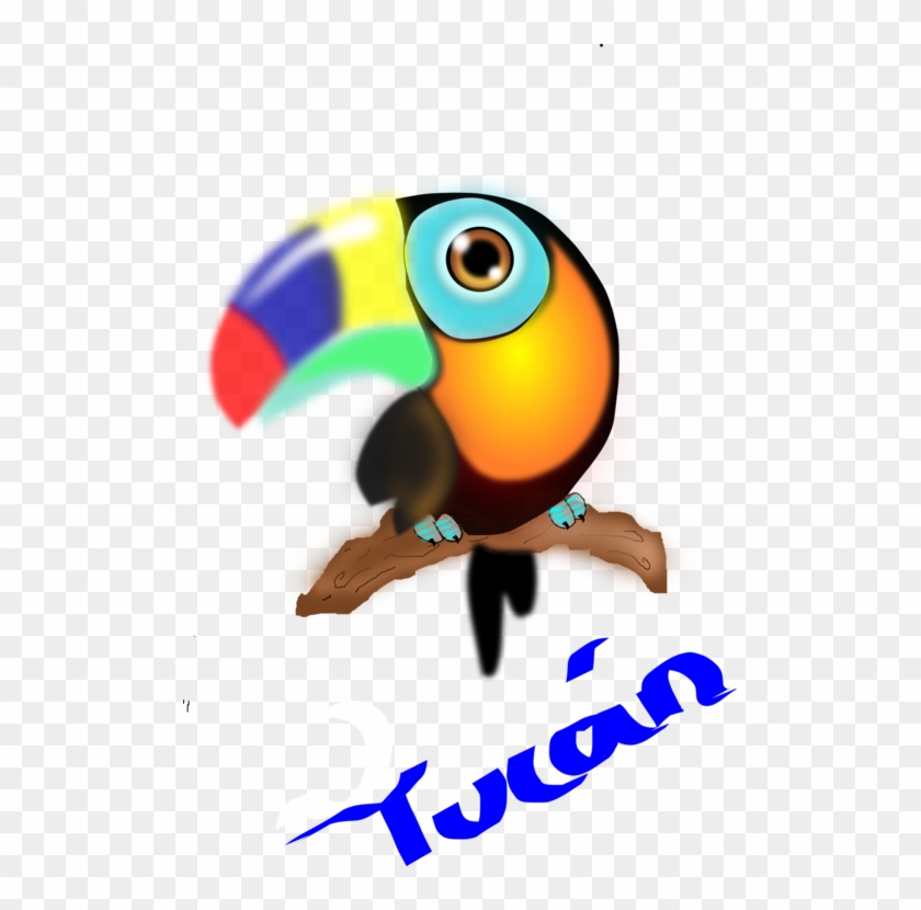 Toucan Parrot Colombia Computer Icons Beak - Clip Art Tucan #1402597