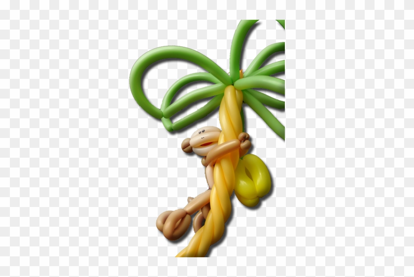 Balloon Sculpting And Magic - Ceratostylis #1402713