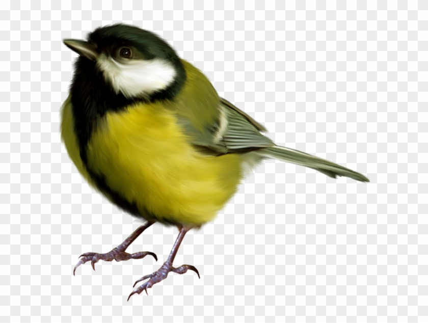 Goldfinch Clipart Birb - Clip Art #1402738