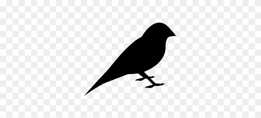 Sparrow Black Png #1402739